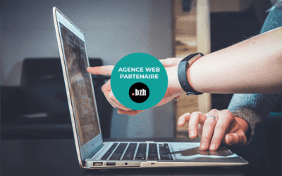 Ajañsoù Web keveler