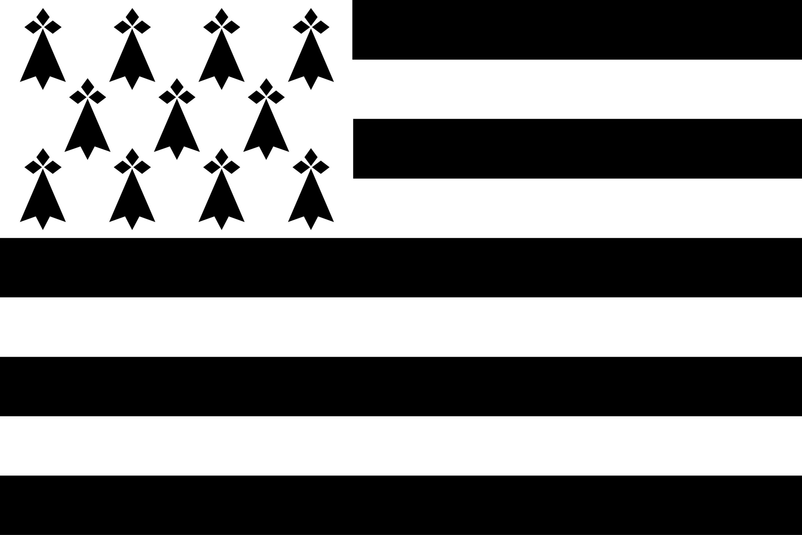 Drapeau de la Bretagne Gwenn ha du flag