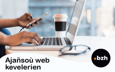 Ajañsoù web keveler evit ul lec’hienn e .bzh diouzh ho livioù !