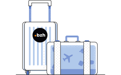 Comment transférer votre .bzh chez un autre prestataire?