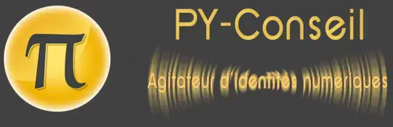 PY-conseil-agence-web PY Conseil agence web