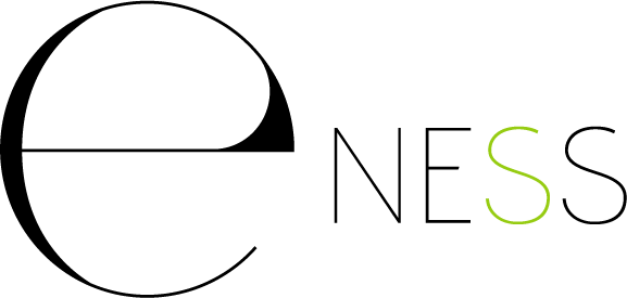 Agence web e-ness