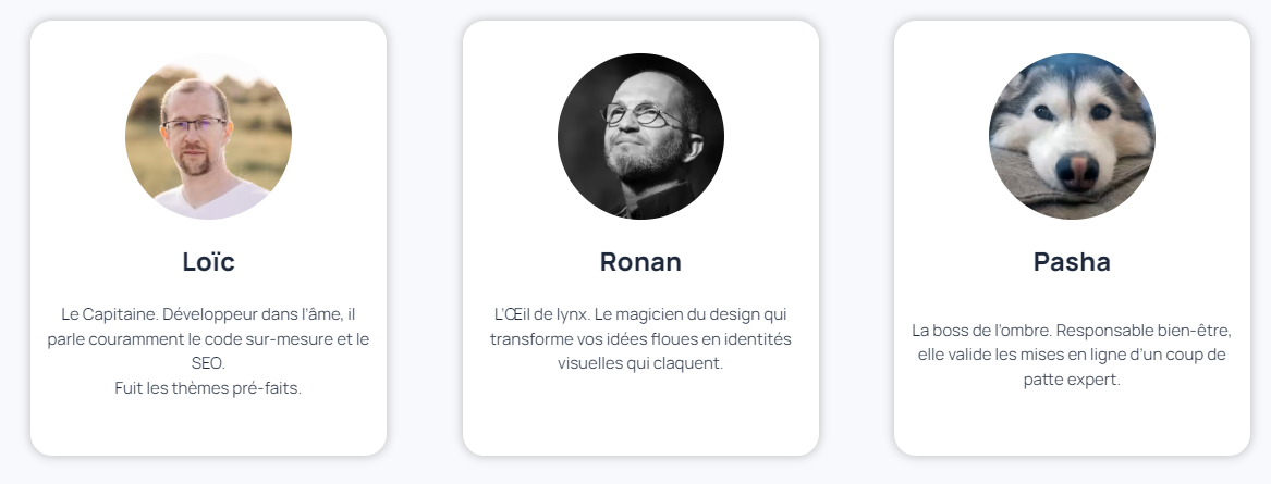 elyazalee agence web bzh
